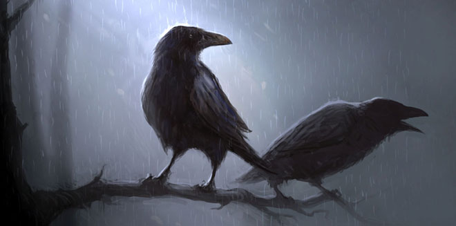 Ravens