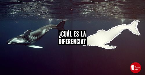 LNR_Campaña-Día-de-la-Tierra-3