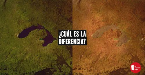 LNR_Campaña-Día-de-la-Tierra-4