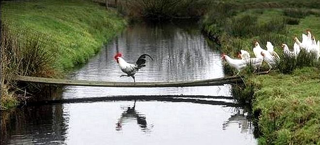 12 mandamientos para dejar de perder seguidores en redes sociales