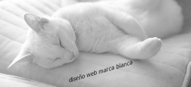 El diseño web de marca blanca ¿qué es?