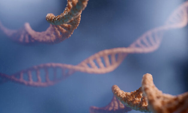 Los hábitos, buenos o malos, pueden influir en los genes