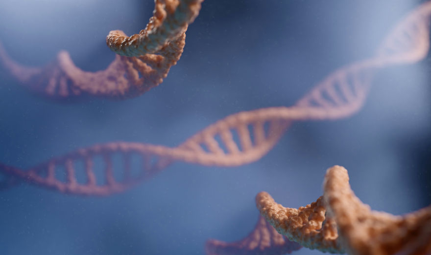 Los hábitos, buenos o malos, pueden influir en los genes