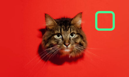 Kantar revela las 15 campañas más efectivas de la publicidad española según el veredicto de los consumidores