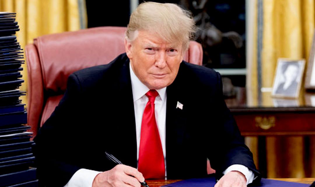 Trump y cómo las políticas populistas terminan lesionando el interés general